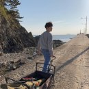 곰섬야영장 이미지