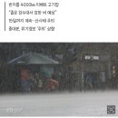 오늘부터 헤비급 장마 시작 이미지