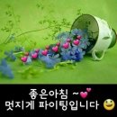 다가옴
