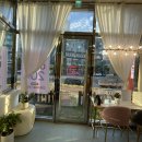 꼬미네 펫샬롱 애견미용 이미지