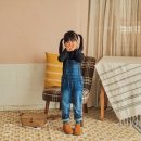 롤롤 - 서귀포시 태평로 423 | 롤롤