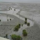 고창심원풍천장어 이미지