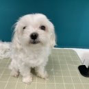 킨더그루밍 이미지