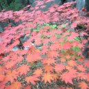 왕숙천 자전거도로20 이미지