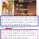 진돗개 하나 발령 사격 ,크레모어 발사 논란! 이미지