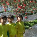 가을농원 이미지