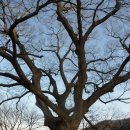 증심사관리소 | 광주무등산(無等山 1,187m) 산행