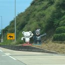 해인목장 이미지