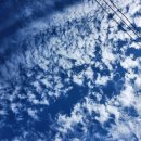 대구한빛정형외과의원 이미지