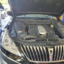 콩이카센타 이미지