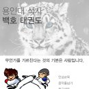 고양 용인대 백호 태권도장 이미지