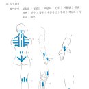 가렵고 두드러기 솟아날때 치료 이미지