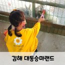 참샘목장 | 부산근교 김해 대동승마랜드 아이랑 가볼만한곳