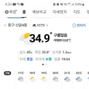 싱그러운청도로(여름) 이미지