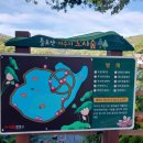 틀모산 도시숲 이미지