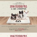 320 펫살롱 이미지