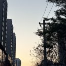 무릉원 | [장가계여행] 장가계 자유여행 I 무릉원(우링위안) 삼림공원 후기(트립닷컴 티켓-동문-백룡엘리베이터...