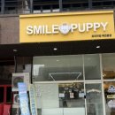 스마일퍼피 강아지분양 동탄점 이미지