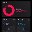 용화사 | 칠보산 등산 후기 (용화사-제2전망대-칠보산)