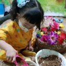 김해톱밥 이미지