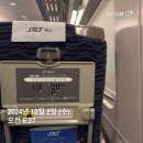 딜릴리케이크 | 10월 1주차 일상 (대전 당일치기, 하누소갈비탕, 오늘통닭, 딜릴리케이크)