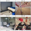 참조은농장 이미지