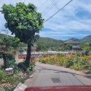 우리가 가꾸는 꽃길 이미지