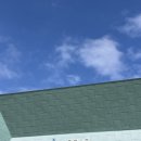 아쿠아플라넷 제주 | 제주도 성산 아이와 가볼 만한 곳 추천 아쿠아플라넷 제주 후기