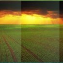 도시락더하기 이미지