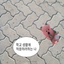 국수나무사천읍내점 | 9️⃣ 가을이 오면