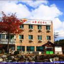 고향비빔국수 - 아산시 온천대로 1571 | 고향비빔국수
