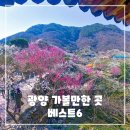 읍내14통마을회관 | 광양 가볼만한곳 베스트 6 - 여행지 추천 리스트