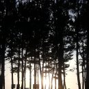 부엉이민박 이미지