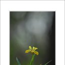 시나브로 이미지