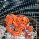 디아크리조트 이미지