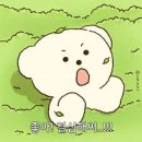 태평여자 | 2주 현실적인 다이어트 후기 (ft. 나의 다이어트 역사)
