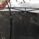 수풀손세차 | #64 세차후기(부제: NO LSP)