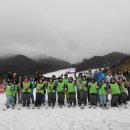 고매초등학교 이미지