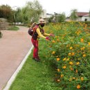 광명당한의원 이미지