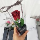 노원-공릉-3154 이미지