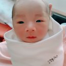산골초가펜션