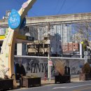 명덕역물베기거리 | 대구 여행ㅣ BTS 슈가 SUGA 벽화거리 명덕역 물베기거리