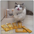 푸디 | 에프디와일드 푸디 페이스트 치킨 맛, 짜먹는 고양이 습식 후기!