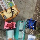 누가크래커 라쁘티펄 비교 가품양주 위스키 까발란 구매후기 가격 아침식사 맛집 주말꽃시장 다안삼림공원