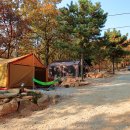 인산낚시터 이미지