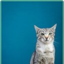 단원병원뒤 이미지