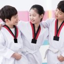 삼정태권도 이미지