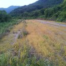 수정환경 이미지