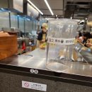 현대백화점(더현대서울) | 더현대백화점 강호연파 밥굽남 더현대서울점 방문후기