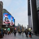 호스텔 27 | 나 혼자 상하이 3박 4일, 다인 유스호스텔 후기